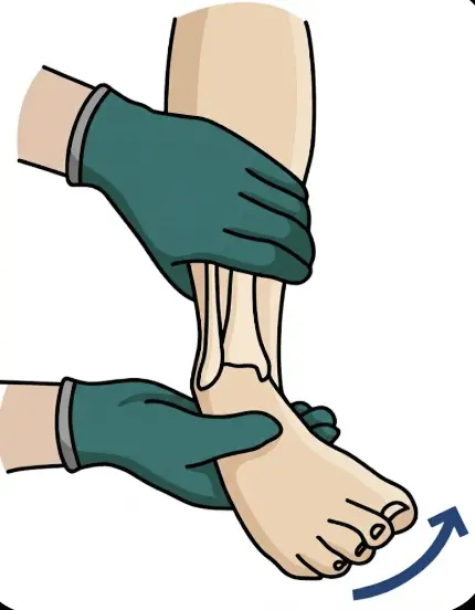 Talar Tilt Test Orthopedic Special Test